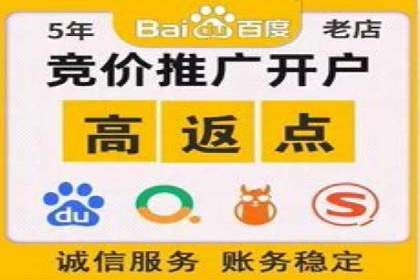 百度SEO推广案例解析与效果评估